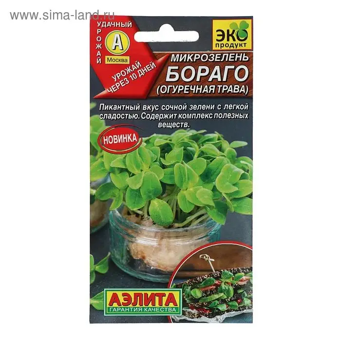 Семена Микрозелень  Семена Микрозелень "Бораго" (огуречная трава), 3г,