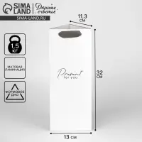 Пакет подарочный под бутылку, упаковка, &laquo;Present&raquo;, 13&times;32&times;11 см
