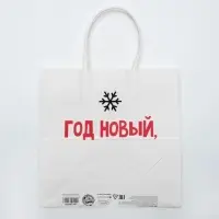 Пакет подарочный новогодний &laquo;Год Новый, а ты старый&raquo;, 22&times;22&times;11 см