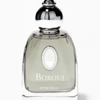 Парфюмерная вода унисекс Barouj SPIRITUS, 85 мл (по мотивам Cedrat Boise Mancera)