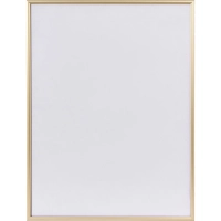 Рамка 300х400, золото, алюминевая.,  ПЭТ стекло, 2019_34_12_345