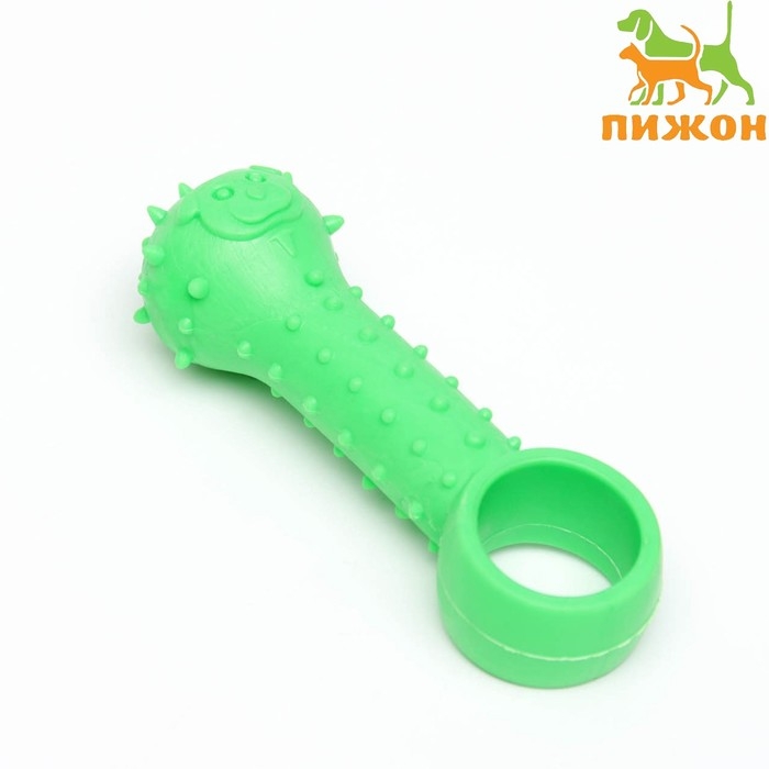 Игрушка-дразнилка "Поймай меня!", TPR, 9,5 см, зелёная