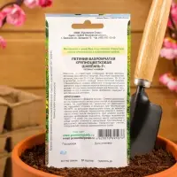 Семена цветов Петуния бахромчатая, крупноцветковая &laquo;Шампань&raquo; F1, 7 шт.