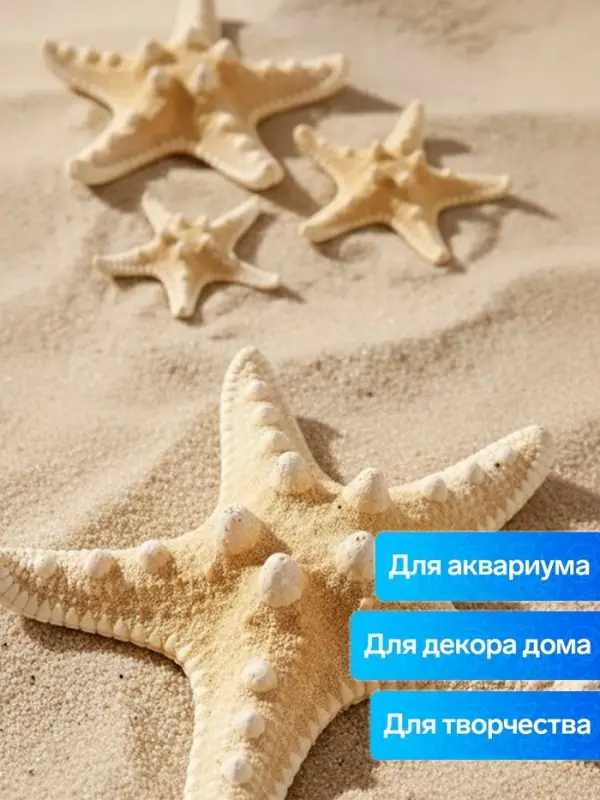 Набор из 3 морских звезд, размер 5-7 см, 7-10 см, 10-12 см, белый