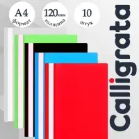 Набор папок-скоросшивателей А4, 120 мкм, Calligrata, 20 штук, прозрачный верх, микс