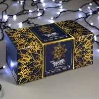 Гирлянда &laquo;Бахрома&raquo; 3&times;0.6 м, IP44, УМС, тёмная нить, 160 LED, свечение белое, 220 В