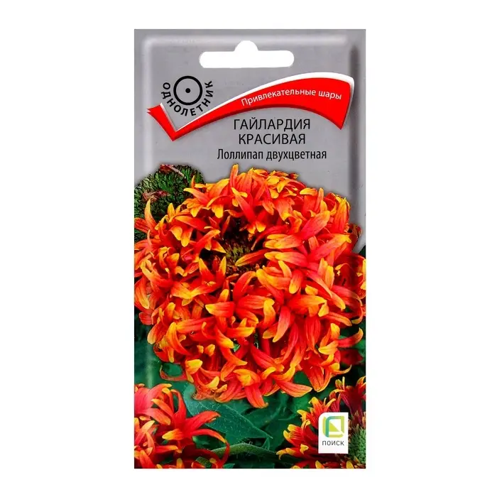 Семена цветов Гайлардия красивая Лоллипап двухцветная, 0,1гр Семена цветов Гайлардия красивая Лоллипап двухцветная, 0,1гр