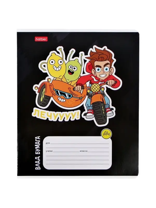 Тетрадь 12 листов в клетку Calligrata &laquo;Влад А4&raquo;, обложка мелованный картон, МИКС