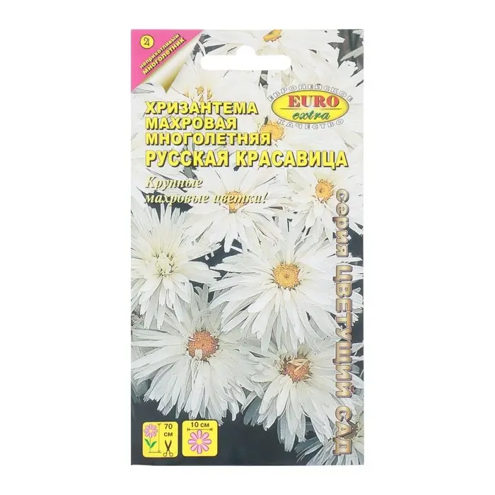 Семена цветов Хризантема  Семена цветов Хризантема "Русская красавица", 0,02 г