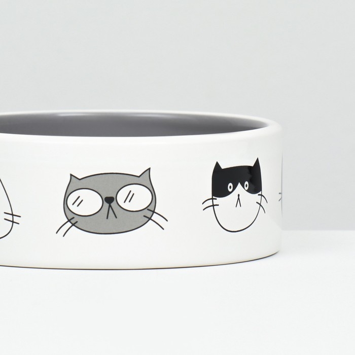 Миска керамическая  Миска керамическая "Четыре кота" 300 мл  12,5 x 4,5 cм, белая/серая