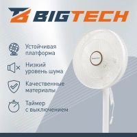 Вентилятор напольный BigTech WBF002 с пультом