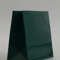 Пакет подарочный ламинированный горизонтальный &laquo;Изумрудный&raquo;, M 32&times;26&times;12 см