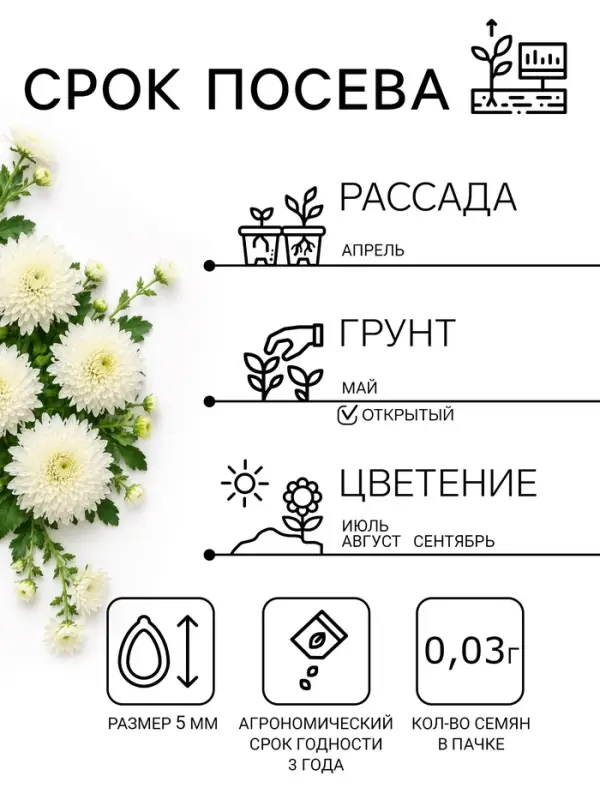 Семена цветов Хризантема многоцветковая &laquo;Королева лета&raquo;, 0.03 г, &laquo;УРОЖАЙ УДАЧИ&raquo;