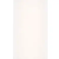 Пластина клеевая от крыс SAFEX, без упаковки, 1шт