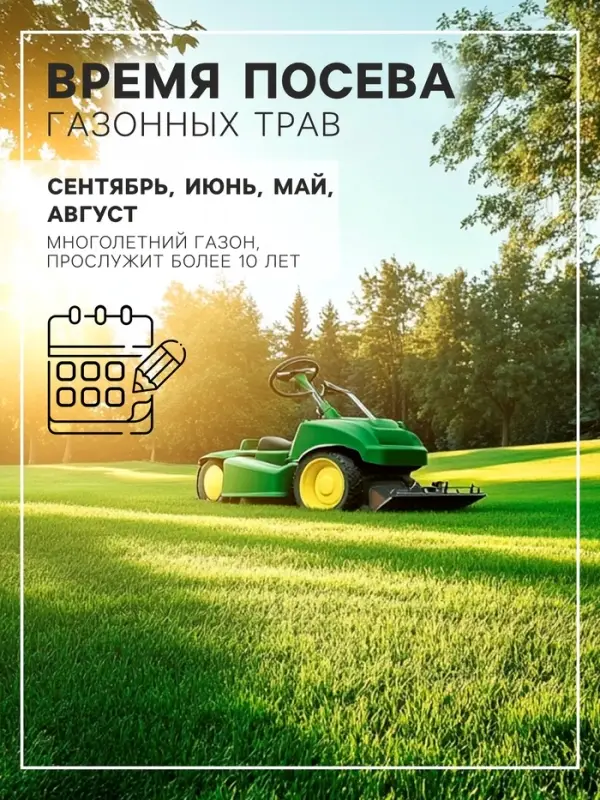 Семена Газонная травосмесь Быстрый газон", 1 кг