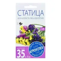 Набор семян Статица Мечта флориста, смесь, О, 5 шт.