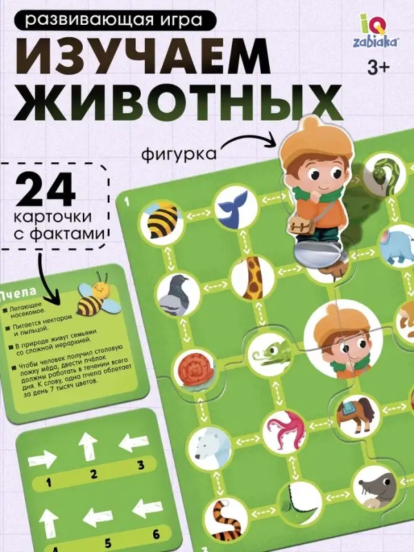 Развивающая игра &laquo;Пройди по стрелкам. Изучаем животных&raquo;, 24 карточки, 3+