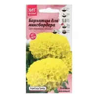 Набор семян Бархатцы "Тайшань желтый", 5 шт. Набор семян Бархатцы "Тайшань желтый", 5 шт.