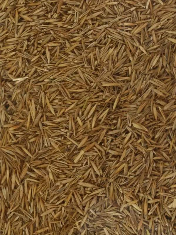 Газон медленнорастущий "Лилипут", 0,5 кг