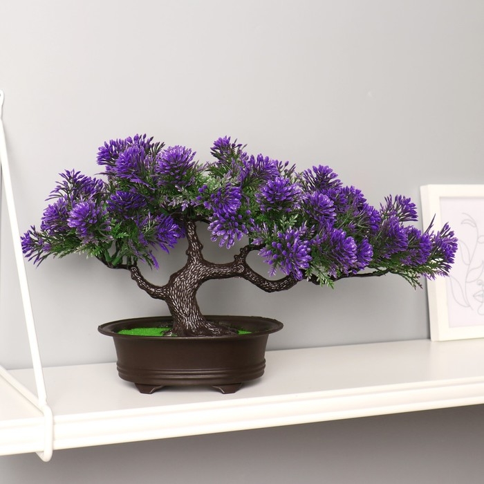 Бонсай Бонсай "Звёздник" 16х22 см, микс