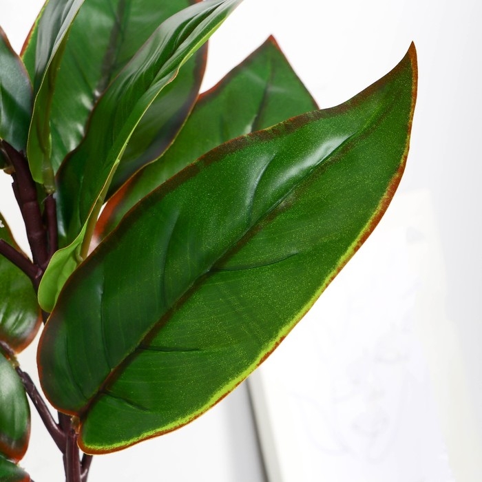 Бонсай в горшке Бонсай в горшке "Кордилина колор" 8,5х24 см