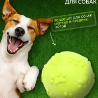 Игрушка для собак &laquo;Мяч-лапка&raquo;, 6 см, TPR, жёлтая