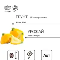 Семена Патиссон корнишон &laquo;Копейка&raquo;, 7 шт., Premium seeds