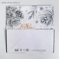 Пакет подарочный ламинированный квадратный «Еловые шишки», 22×22×11 см Пакет подарочный ламинированный квадратный «Еловые шишки», 22×22×11 см