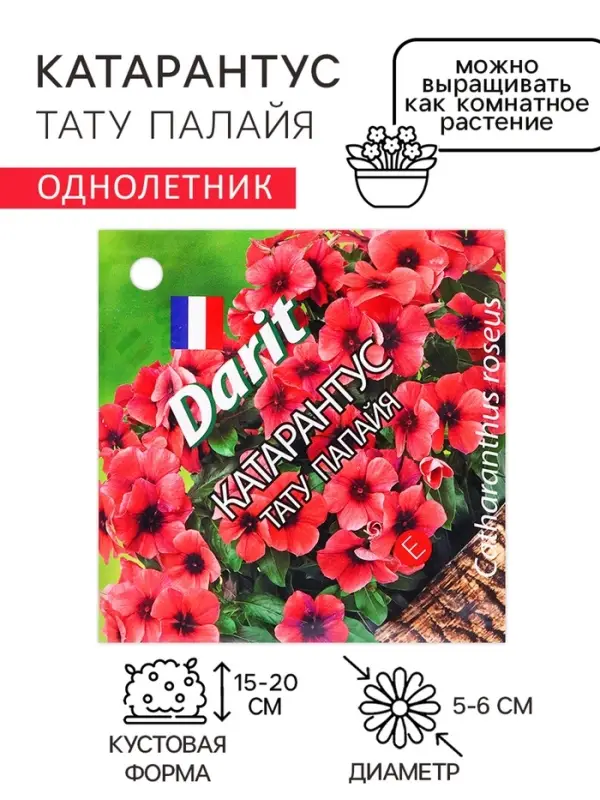 Семена цветов Катарантус "Тату Палайя", 7 шт