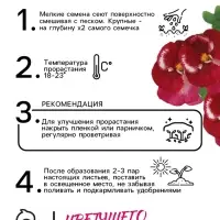 Семена Виола "Клубничка", ц/п, F1, 5 шт. Семена Виола "Клубничка", ц/п, F1, 5 шт.