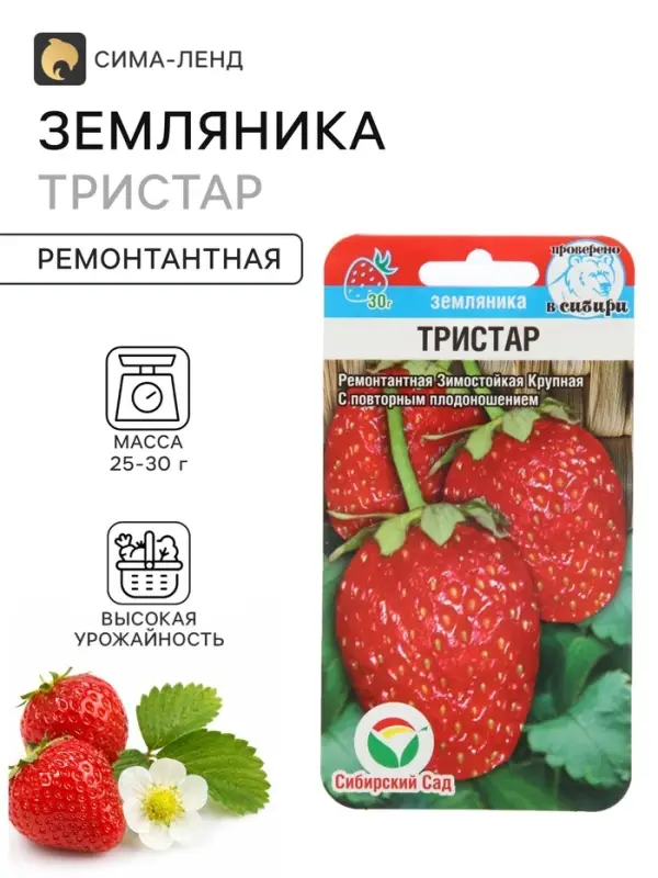 Семена Земляника ремонтантная &laquo;Тристар&raquo;, 10 шт., &laquo;Сибирский сад&raquo;