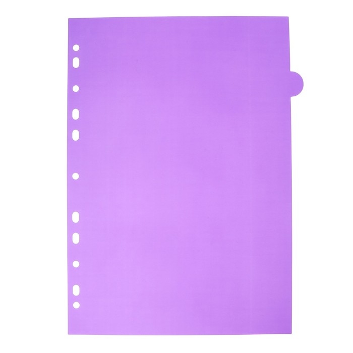 Разделитель листов A4 (245 x 305 мм), цветовой, 12 листов, Разделитель листов A4 (245 x 305 мм), цветовой, 12 листов, "deVENTE. Marandi" полипропилен 140 мкм, индивидуальная упаковка