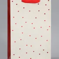 Пакет подарочный ламинированный &laquo;Важный момент&raquo;, 22.3&times;9&times;35 см