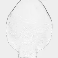 Блюдо сервировочное Paşabah&ccedil;e Marine, 35.5&times;25.4 см, стекло, прозрачное