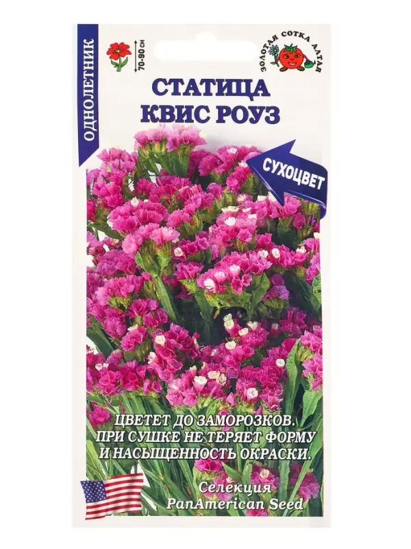 Семена Статица Квис Роуз /Сотка/ 10 шт /ПанАм/ h-70-90 см/*500 Семена Статица Квис Роуз /Сотка/ 10 шт /ПанАм/ h-70-90 см/*500