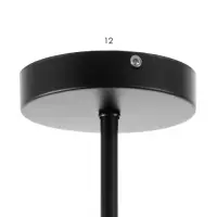 Светильник потолочный BayerLux &laquo;Агава&raquo;, 6хЕ27, 40 Вт, чёрный, 56&times;56&times;23 см