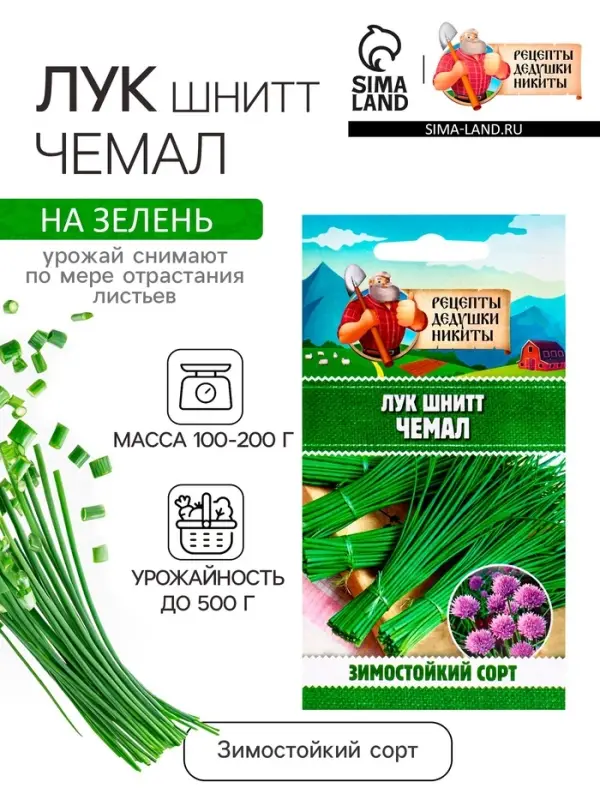 Семена Лук шнитт  Семена Лук шнитт "Чемал", 0,2 г