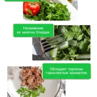 Семена Кориандр - кинза &laquo;Кин-Дза-Дза&raquo;, 2 г, &laquo;Рецепты дедушки Никиты&raquo;