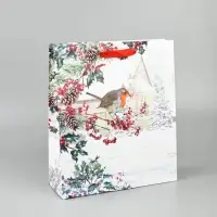 Набор пакетов «Новый год», 3 шт, 26 × 30 × 9 см Набор пакетов «Новый год», 3 шт, 26 × 30 × 9 см