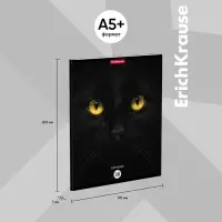 Тетрадь 96 листов в клетку ErichKrause Cats, обложка мелованный картон, матовая ламинация, выборочный УФ-лак, блок офсет 100% белизна, МИКС (1 вид в спай�...