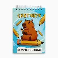 Скетчбук А6, 80 л., 100 г/м&sup2; &laquo;Капибара&raquo;