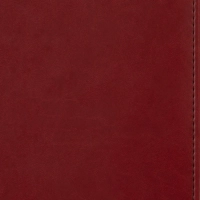 Ежедневник недатированный бордо,А5,143х210мм,176л,ATTACHE Сиам