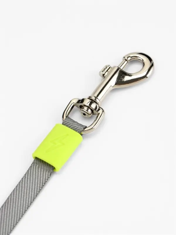 Рулетка - поводок для собак, лента 3 метра, голубая