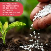 Удобрение органоминеральное &laquo;Буйские удобрения&raquo;, для клубники, земляники, 1 кг