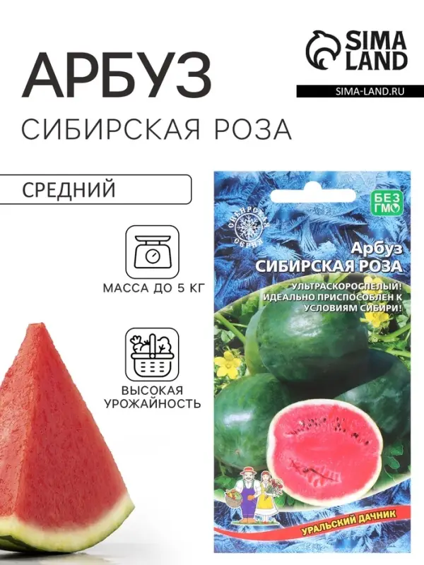 Семена Арбуз &laquo;Сибирская Роза&raquo;, 10 шт., &laquo;Уральский дачник&raquo;