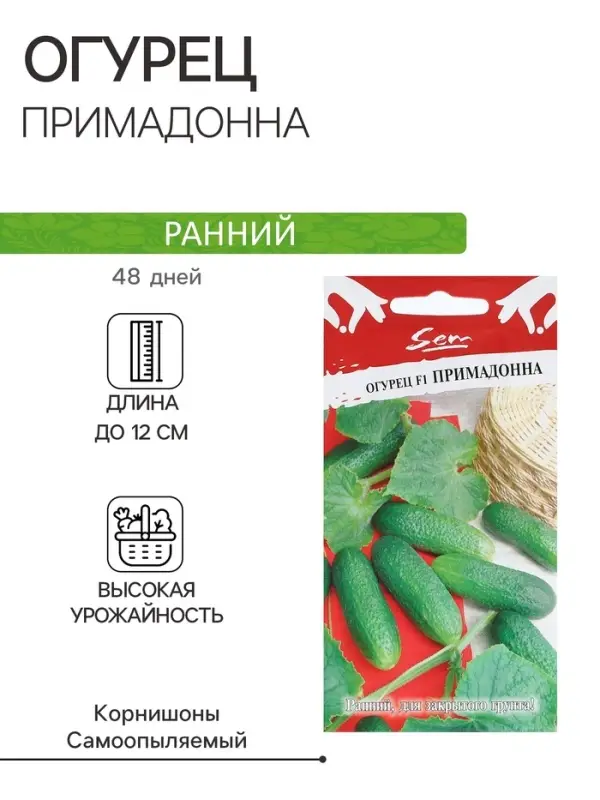 Семена Огурец Семена Огурец "Примадонна", F1, 10 шт