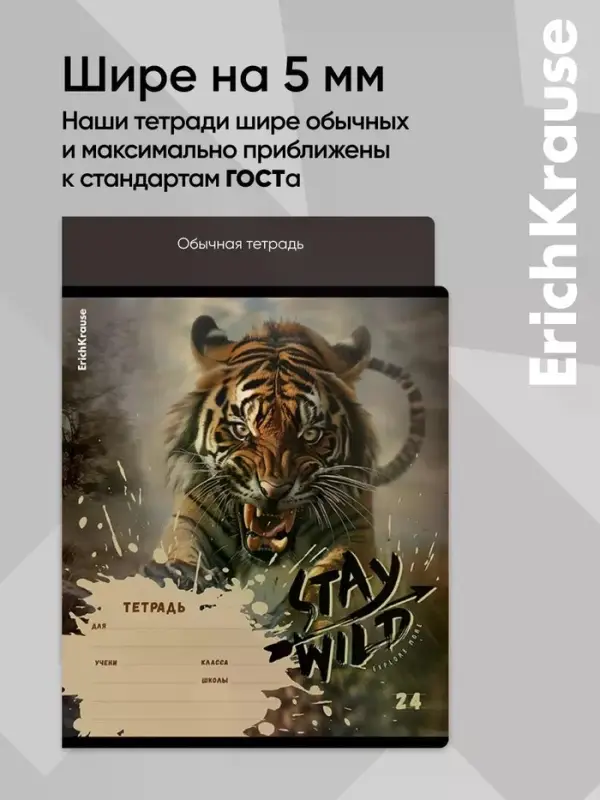 Тетрадь 24 листа в линейку ErichKrause Stay Wild, 60 г/м&sup2;, обложка мелованный картон, МИКС