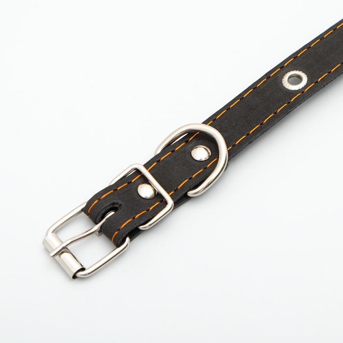 Ошейник кожаный однослойный с рифлеными люверсами, безразмерный, 50 х 2 см,ОШ 36-44 см,чёрный Ошейник кожаный однослойный с рифлеными люверсами, безразмерный, 50 х 2 см,ОШ 36-44 см,чёрный