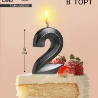 Свеча в торт на шпажке &laquo;Цифра 2&raquo;, черная, 5 см