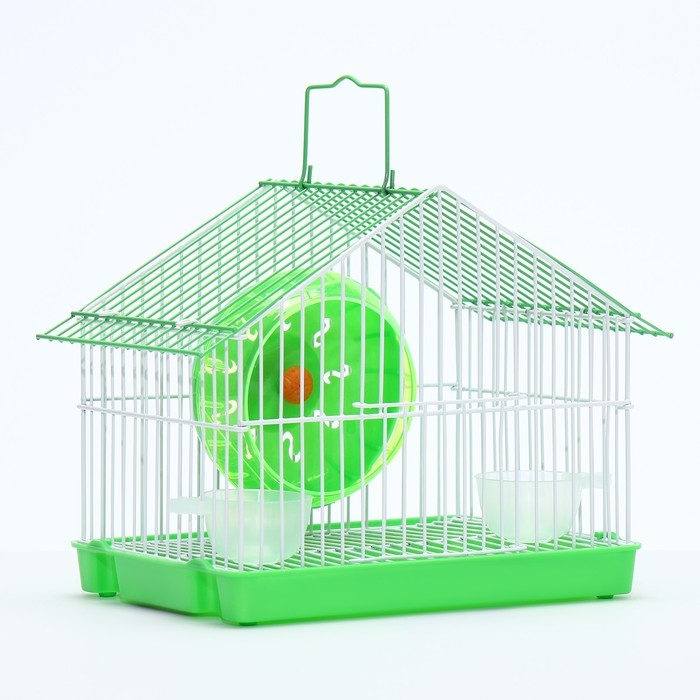 Клетка для грызунов укомплектованная RT-2t, 22 х 16 х 20 см, зелёная Клетка для грызунов укомплектованная RT-2t, 22 х 16 х 20 см, зелёная